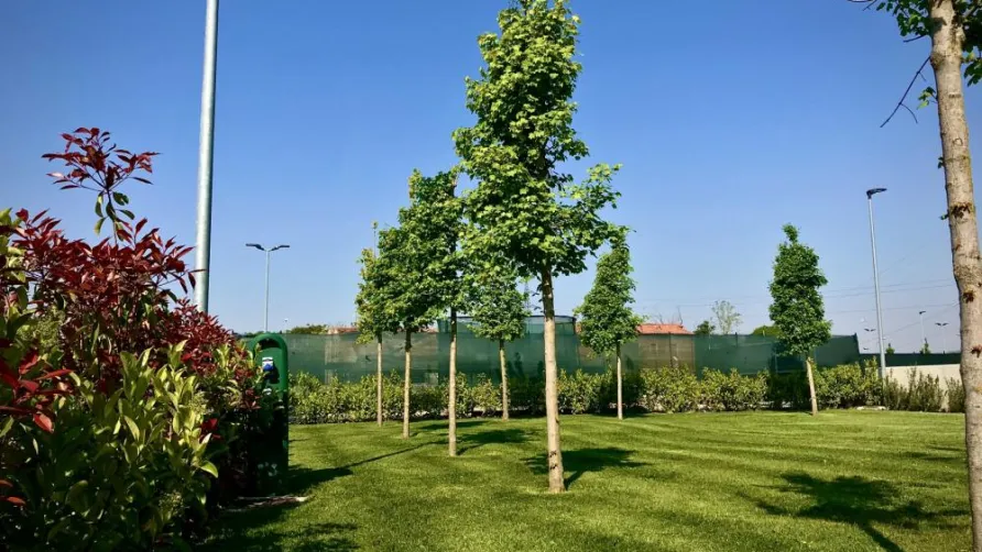 Camping Verona Village