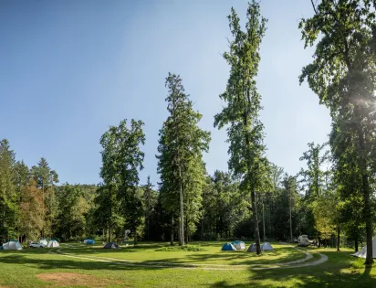 Forest Camping Mozirje
