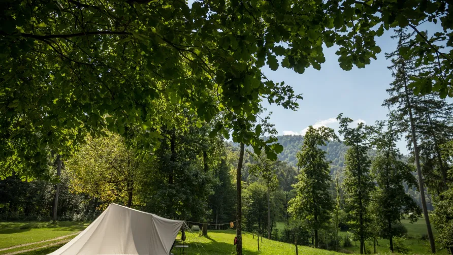 Forest Camping Mozirje
