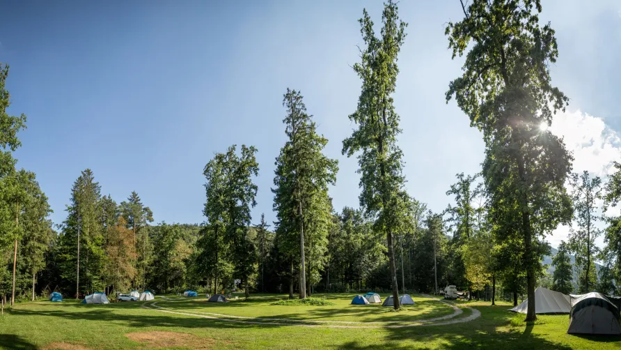 Forest Camping Mozirje