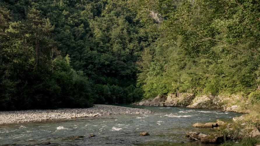 Forest Camping Mozirje