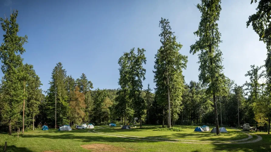 Forest Camping Mozirje
