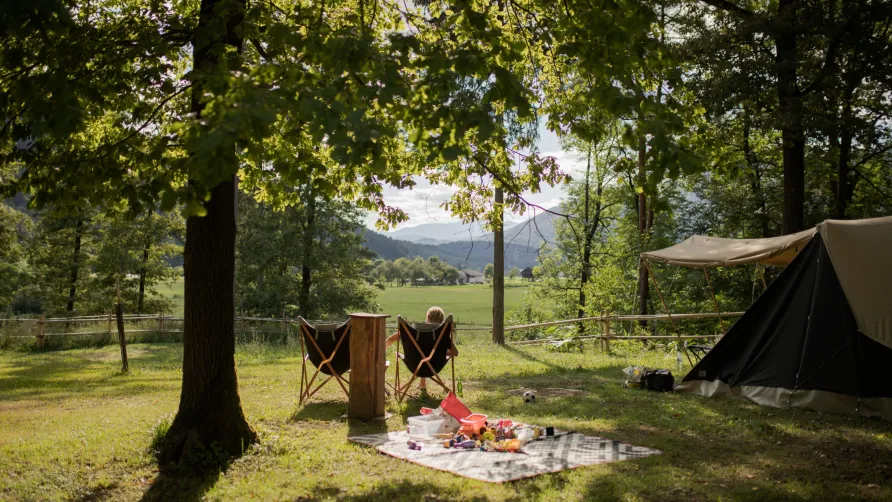 Forest Camping Mozirje