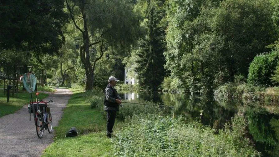 Camping Im Aal