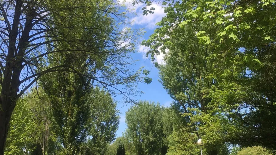Camping Le PLANTAUREL