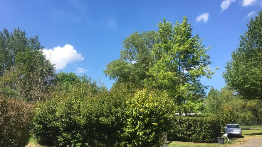 Camping Le PLANTAUREL