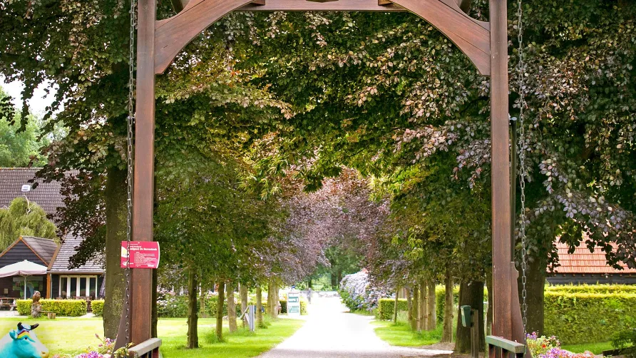 Natuurkampeerterrein Landgoed de Barendonk