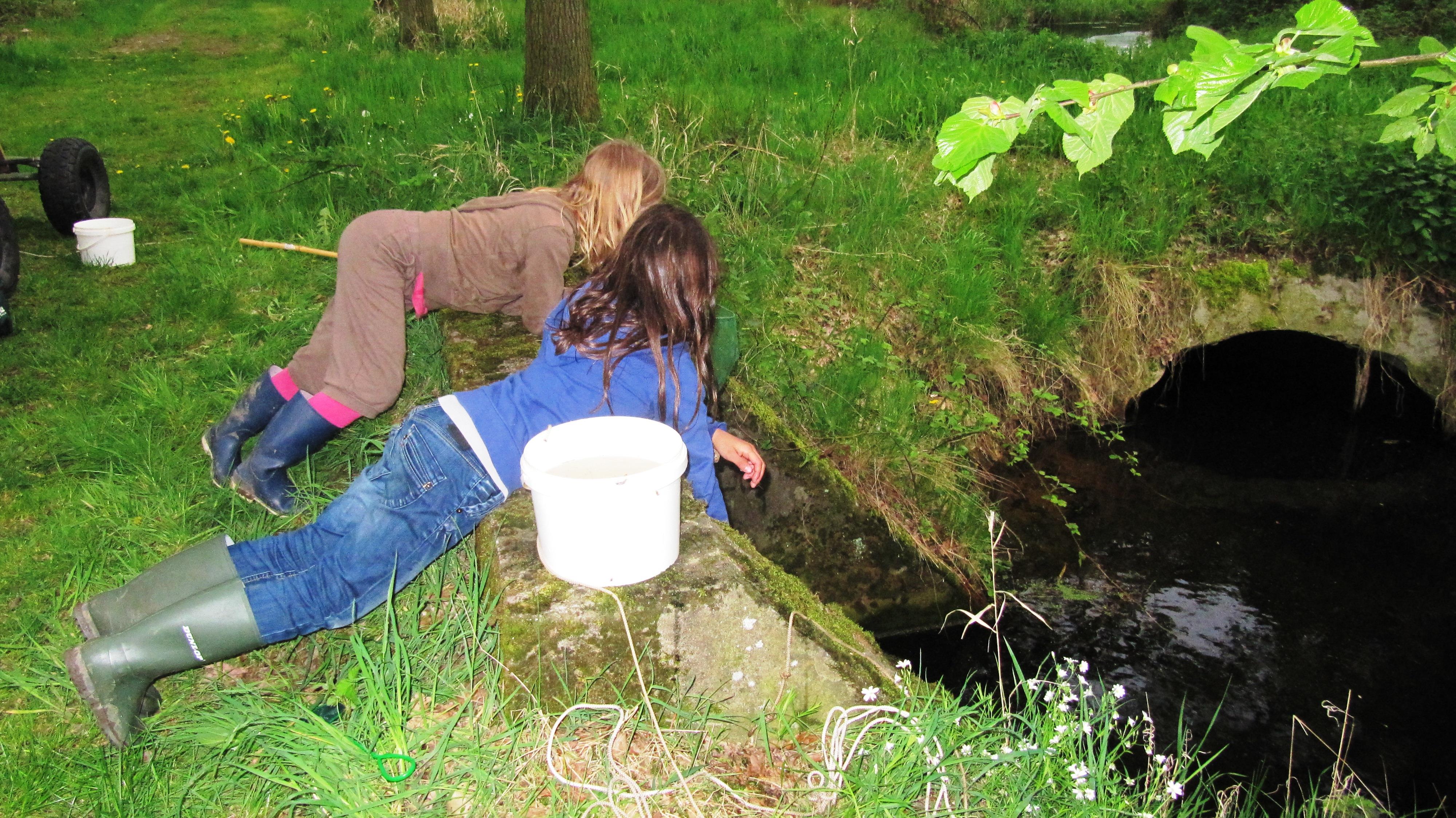 Natuurkampeerterrein Landgoed de Barendonk