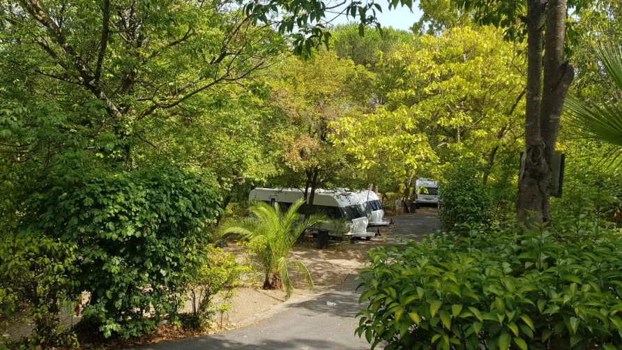 Seven Hills Camping & Village