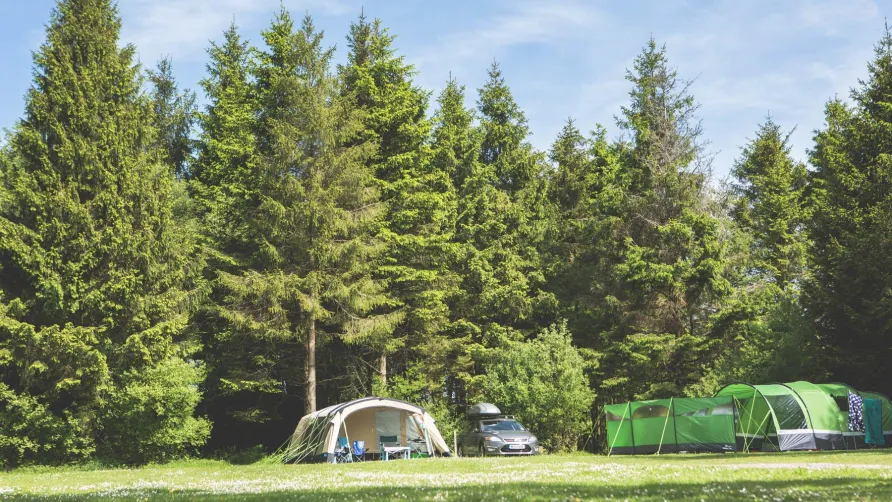 Forest Glade Holiday Park