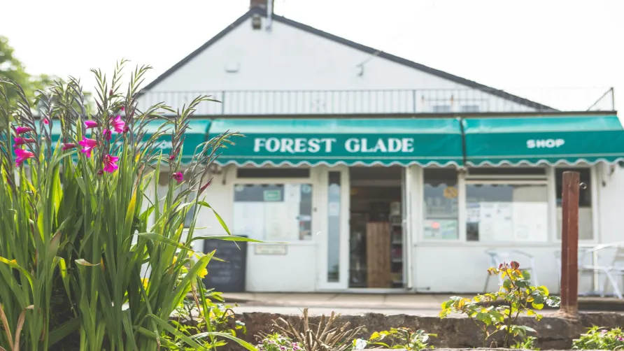 Forest Glade Holiday Park