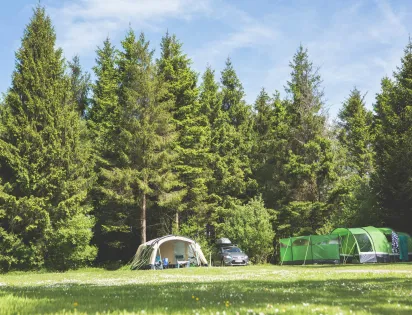 Forest Glade Holiday Park