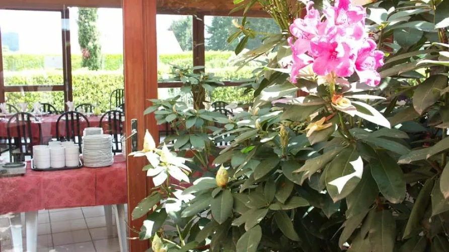 Clico Chic - Camping Le Village des Meuniers