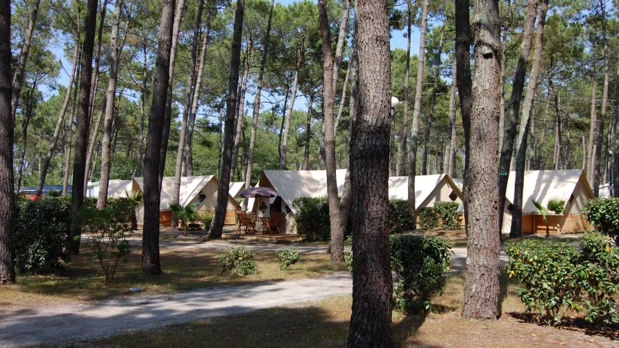 CLUB MARINA-LANDES