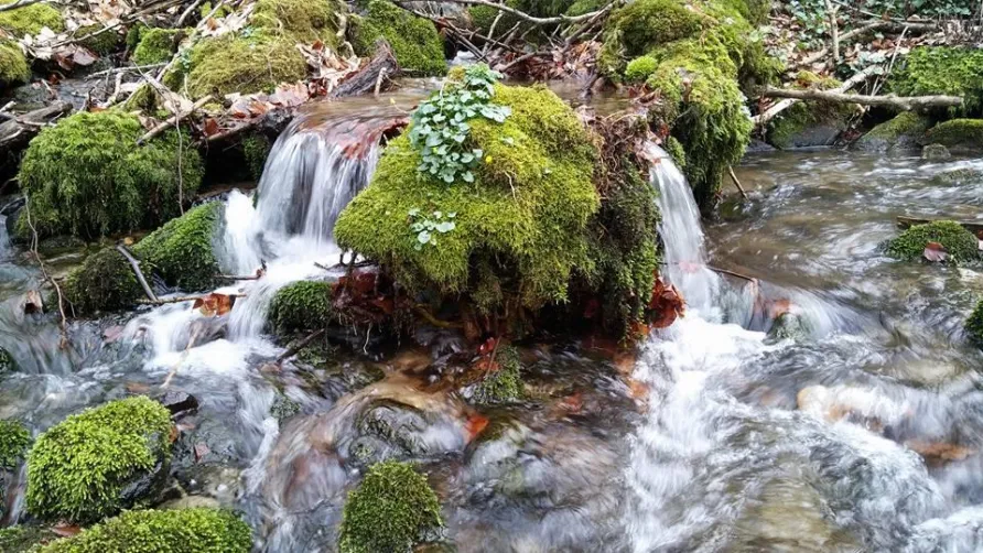 Aire naturelle de Camping Les Cerisiers