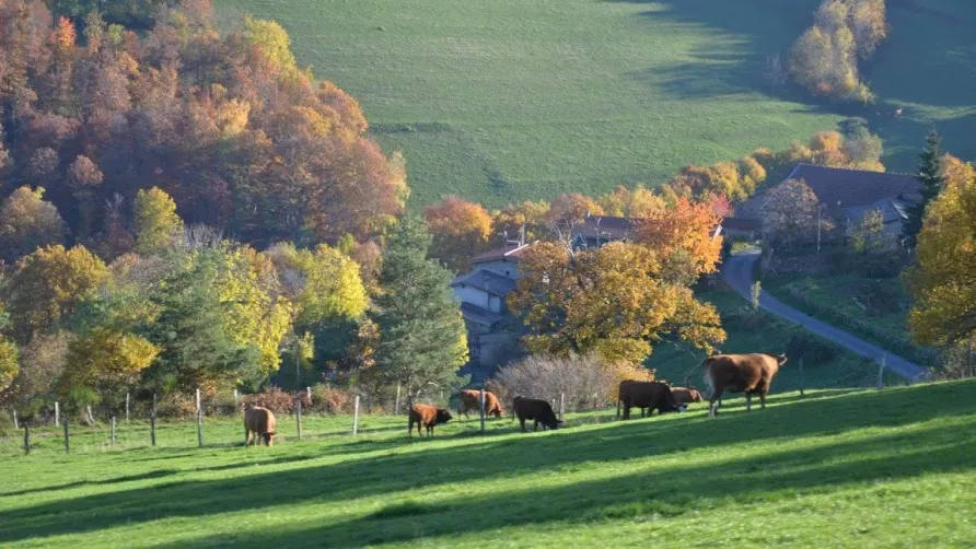 Aire naturelle de Camping Les Cerisiers