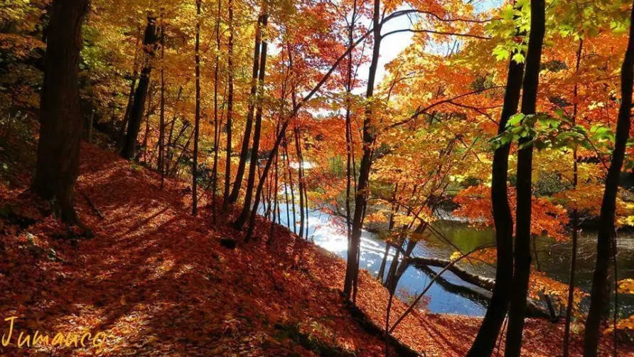 Aire naturelle de Camping Les Cerisiers