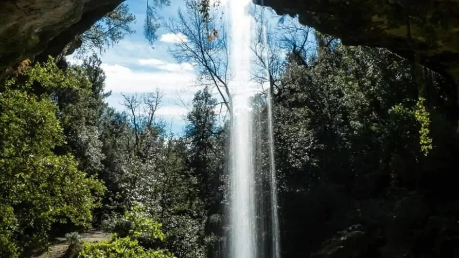 Aire naturelle de Camping Les Cerisiers