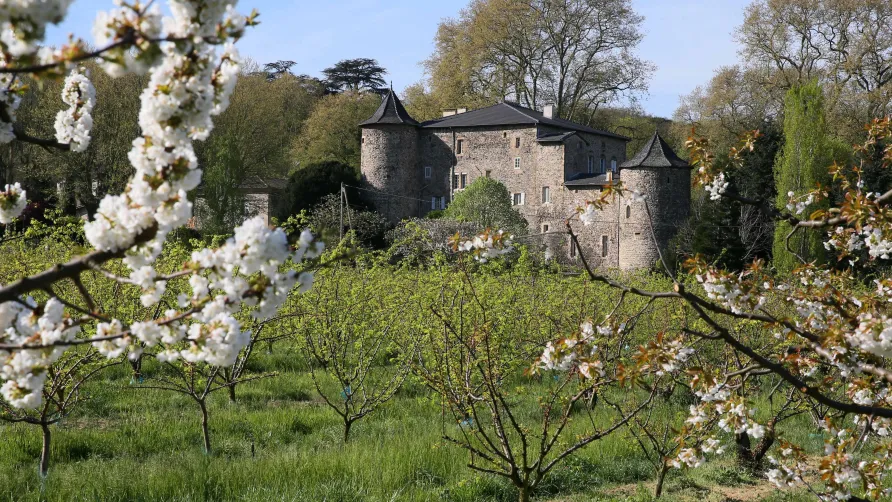 Domaine La Bonne Etoile