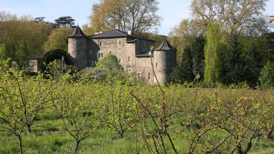 Domaine La Bonne Etoile