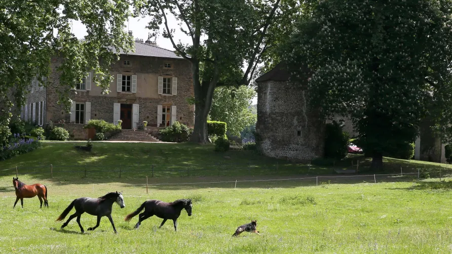Domaine La Bonne Etoile