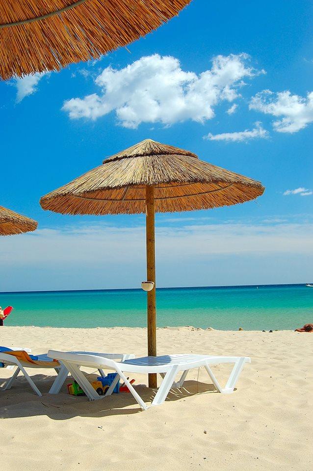 Camping le Dune