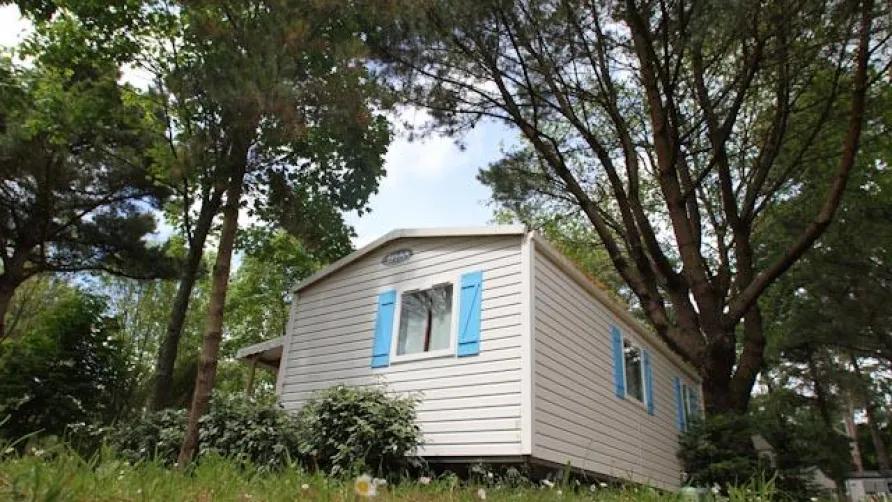 Camping Les Ajoncs d'Or