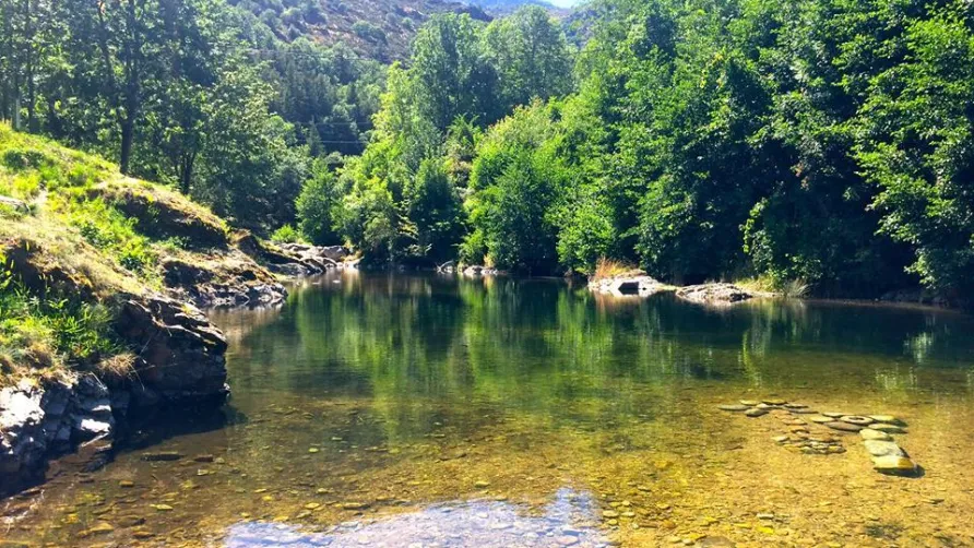 Camping Les Rives de l'Ardèche