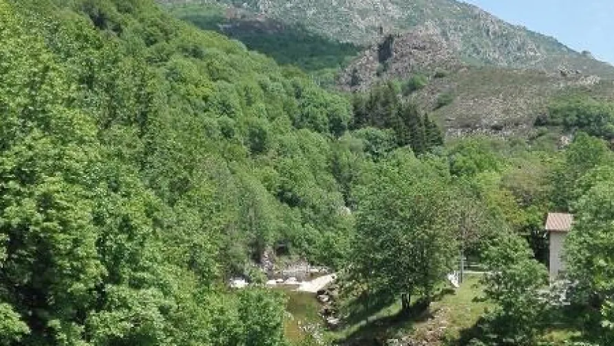 Camping Les Rives de l'Ardèche