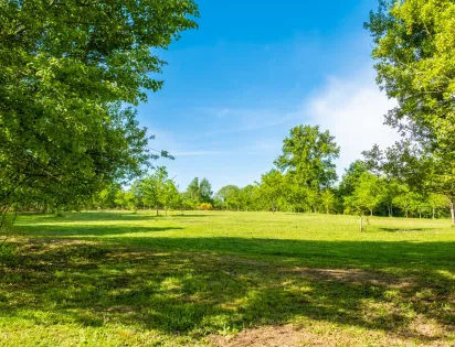Camping de la Bucherie