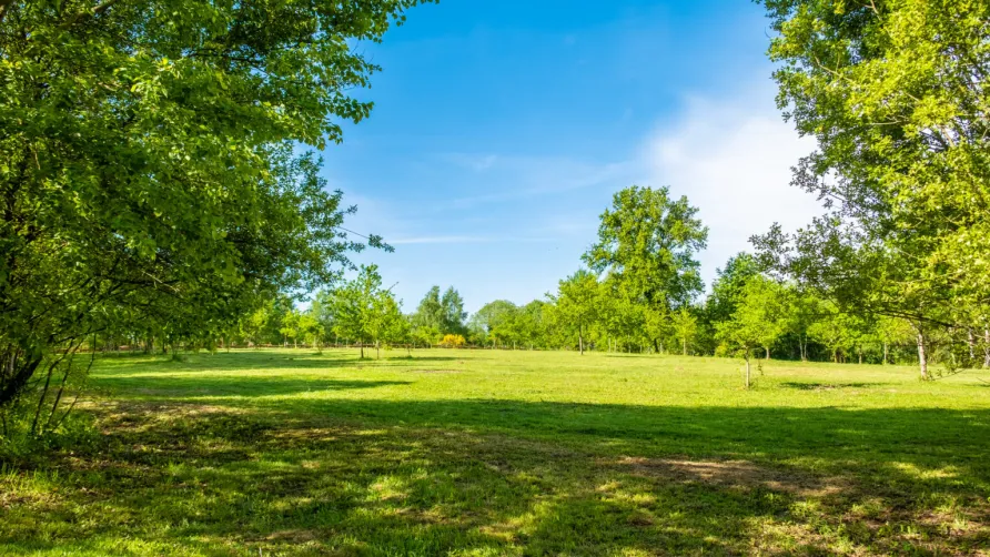 Camping de la Bucherie