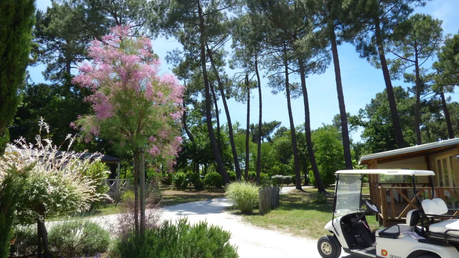 CAMPING LES OURMES