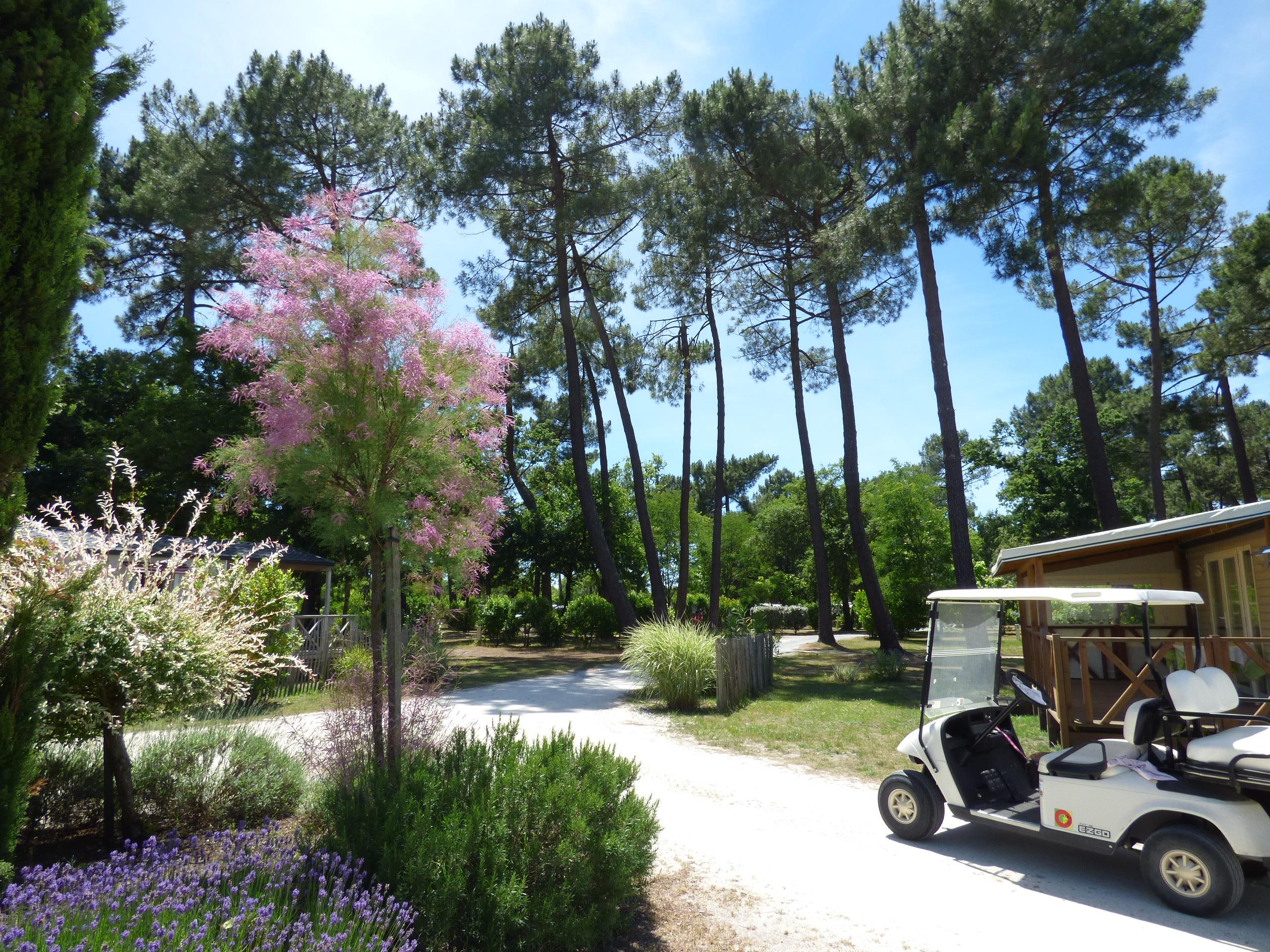 CAMPING LES OURMES