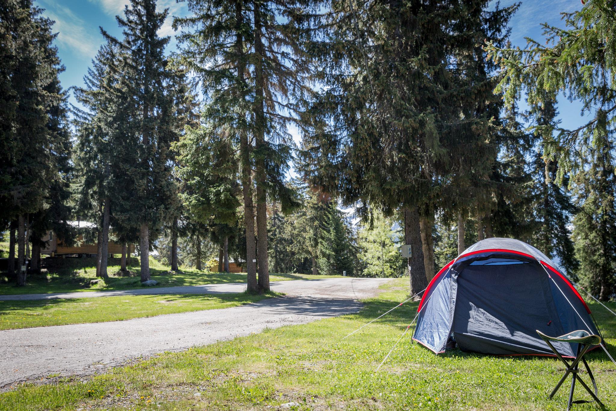 Camping La Forêt
