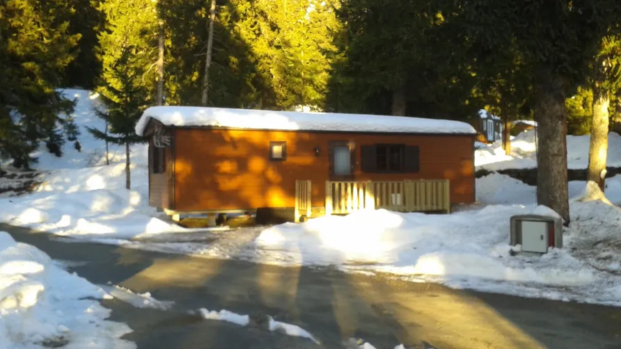 Camping La Forêt