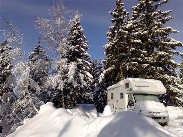 Camping La Forêt