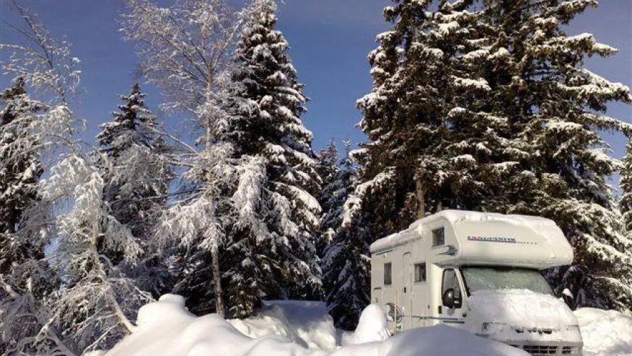 Camping La Forêt