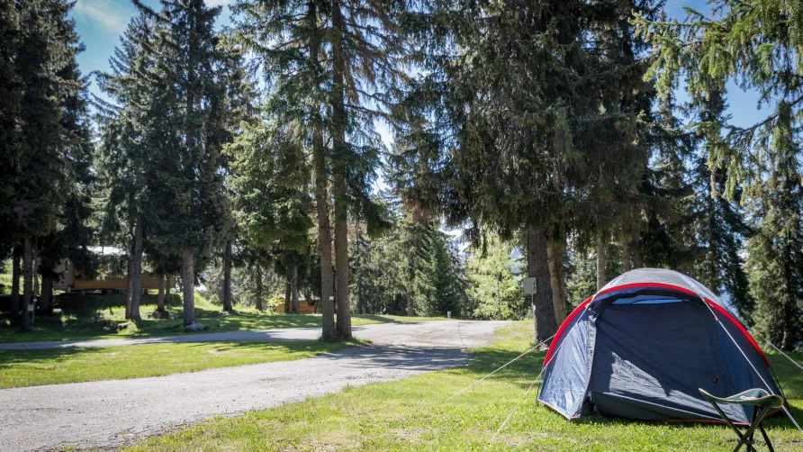 Camping La Forêt