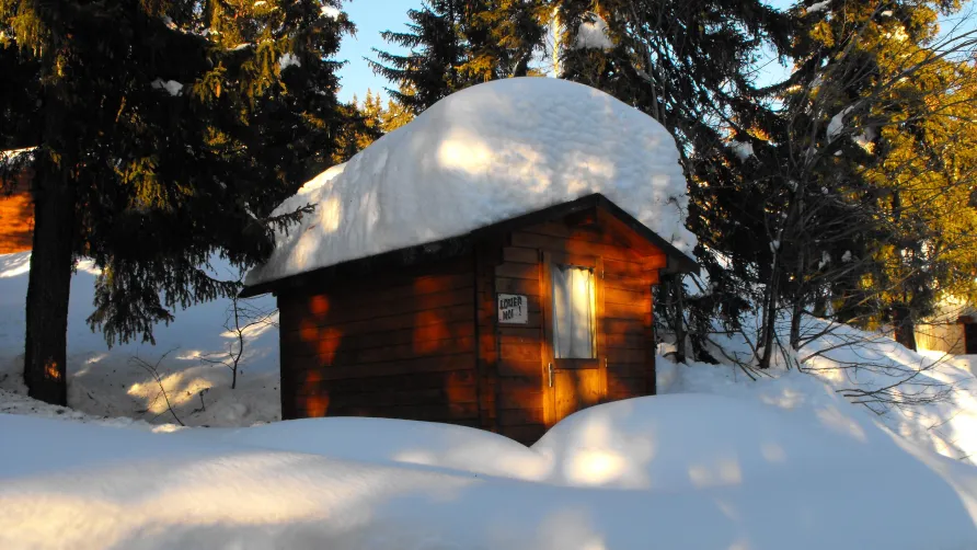 Camping La Forêt