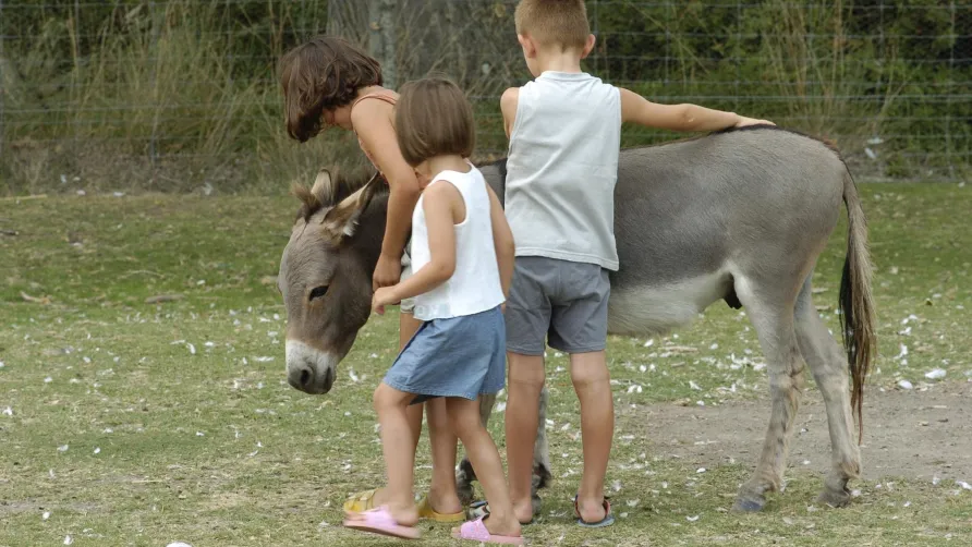 Camping les Fontaines