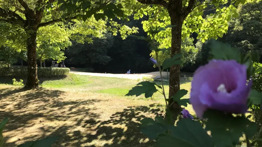 Camping La Chatonnière
