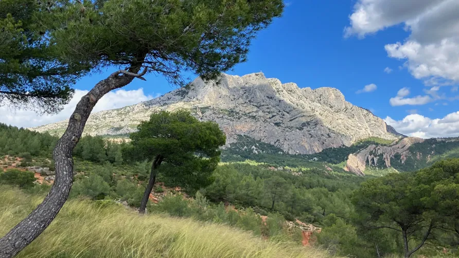 Camping le Cézanne Montagne Sainte-Victoire