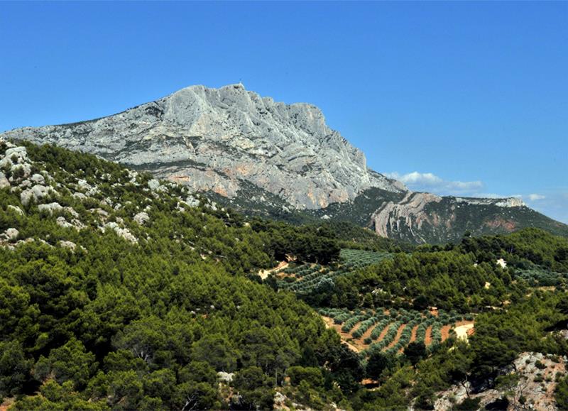 Camping le Cézanne Montagne Sainte-Victoire