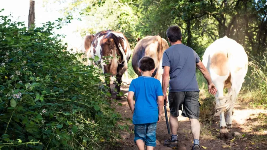 La Ferme de Penquelen