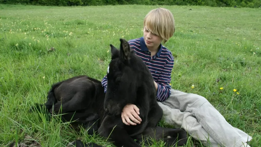 Domaine du Cloitre de St Christophe