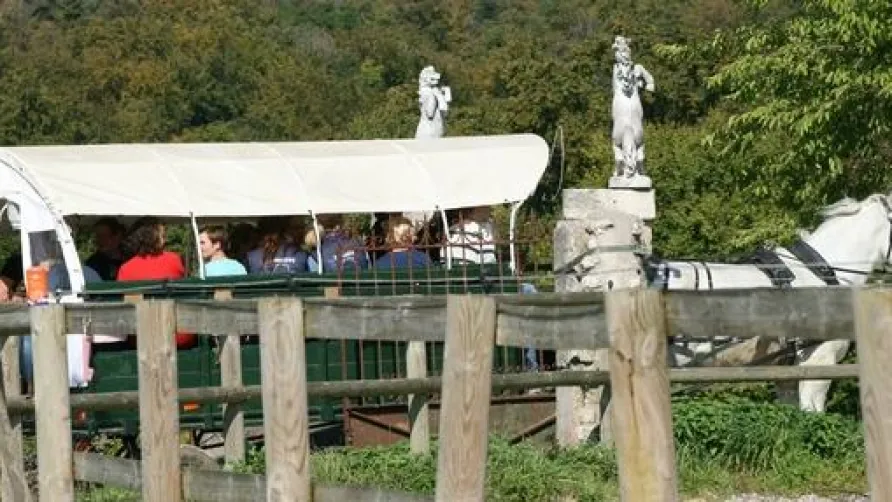 Domaine du Cloitre de St Christophe