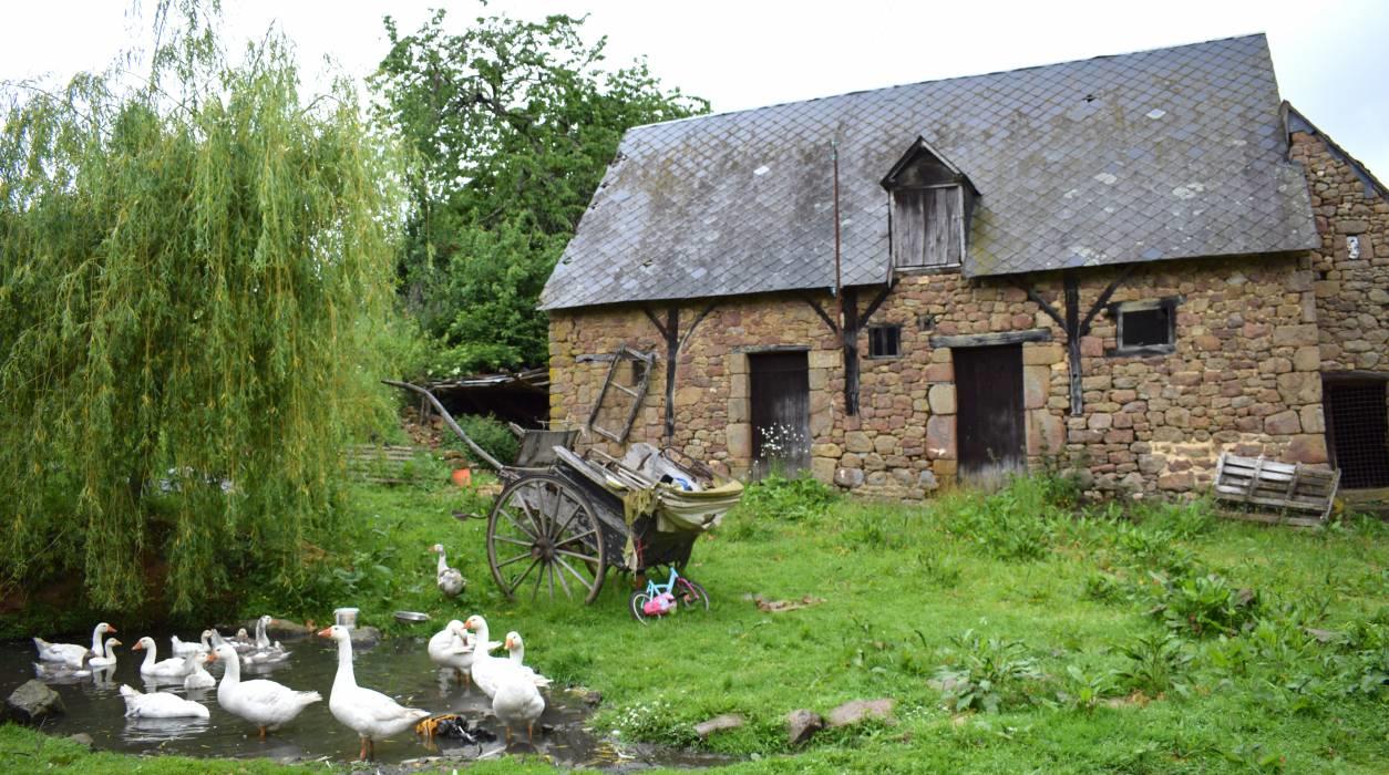 la Ferme de Ronfil