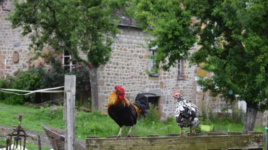 la Ferme de Ronfil