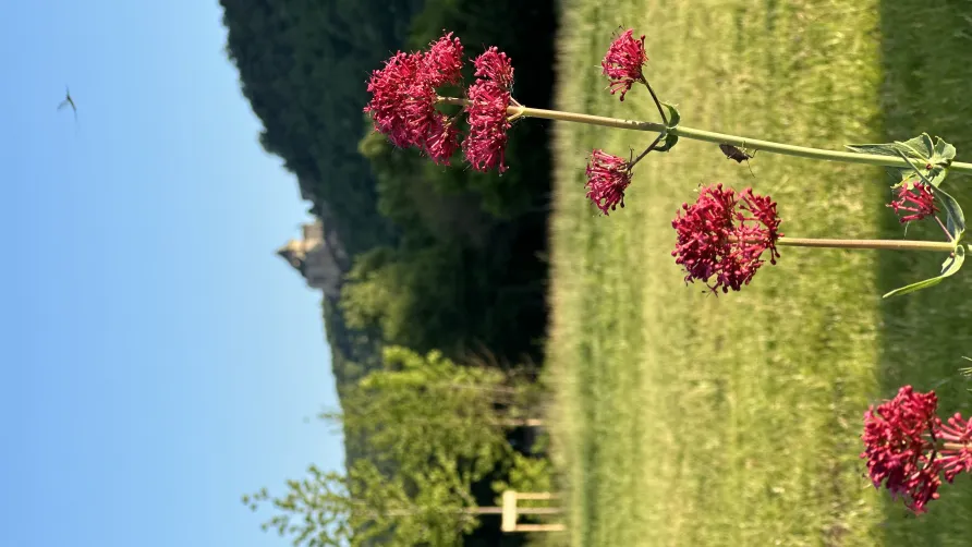 Camping les Cinq Châteaux