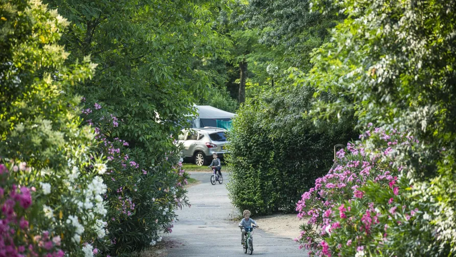 Flower Camping Le Saint Michelet